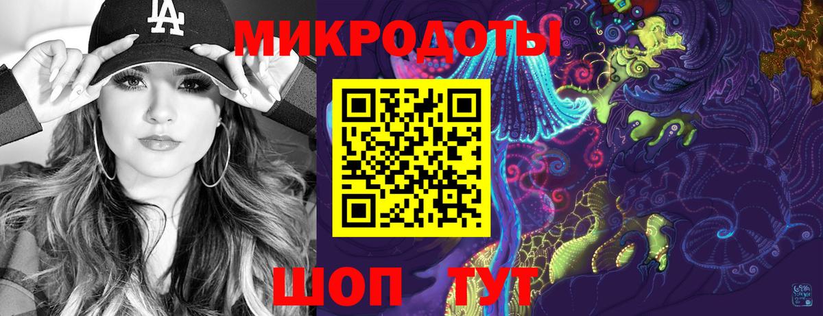 Псилоцибиновые грибы Psilocybe Сальск