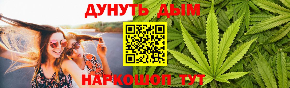Канабис семена Сальск